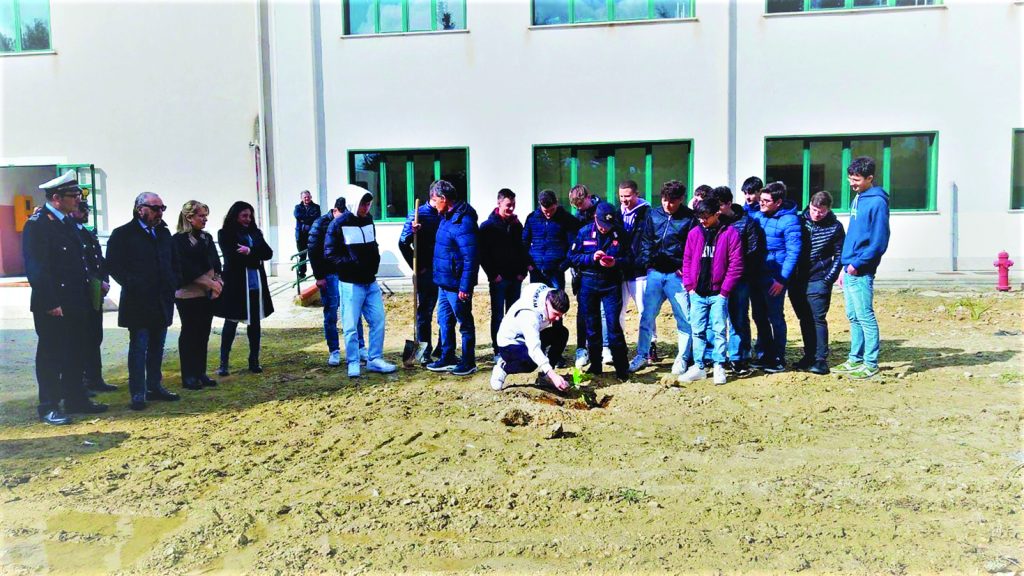 messa a dimora dell'albero di Falcone