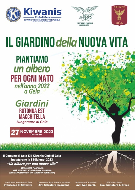 albero nato