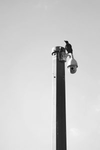 raven-7547512_1280,jpeg